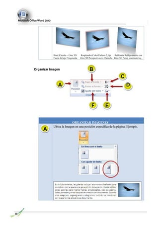Microsoft Office Word 2010
Bisel Círculo – Giro 3D Resplandor Color Énfasis 2, 8p. Reflexión Reflejo medio con
Fuera del eje 2 izquierda Giro 3D Perspectiva ext. Derecha Giro 3D Persp. contraste izq
Organizar Imagen B
C
A D
F E
ORGANIZAR IMÁGENES
Ubica la Imagen en una posición específica de la página. Ejemplo.
10
A
 