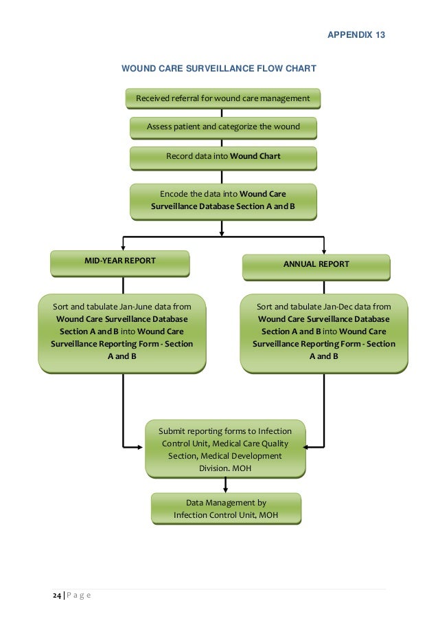 Wound Care Flow Chart