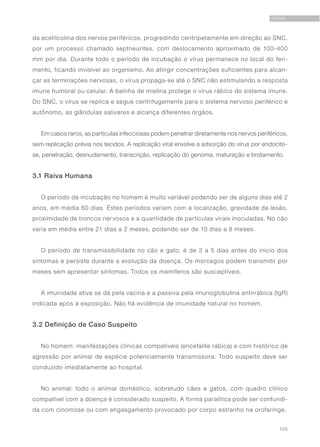 105
RAIVA
da acetilcolina dos nervos periféricos, progredindo centripetamente em direção ao SNC,
por um processo chamado septneurites, com deslocamento aproximado de 100-400
mm por dia. Durante todo o período de incubação o vírus permanece no local do feri-
mento, ficando invisível ao organismo. Ao atingir concentrações suficientes para alcan-
çar as terminações nervosas, o vírus propaga-se até o SNC não estimulando a resposta
imune humoral ou celular. A bainha de mielina protege o vírus rábico do sistema imune.
Do SNC, o vírus se replica e segue centrifugamente para o sistema nervoso periférico e
autônomo, as glândulas salivares e alcança diferentes órgãos.
Em casos raros, as partículas infecciosas podem penetrar diretamente nos nervos periféricos,
sem replicação prévia nos tecidos. A replicação viral envolve a adsorção do vírus por endocito-
se, penetração, desnudamento, transcrição, replicação do genoma, maturação e brotamento.
3.1 Raiva Humana
O período de incubação no homem é muito variável podendo ser de alguns dias até 2
anos, em média 60 dias. Estes períodos variam com a localização, gravidade da lesão,
proximidade de troncos nervosos e a quantidade de partículas virais inoculadas. No cão
varia em média entre 21 dias a 2 meses, podendo ser de 10 dias a 8 meses.
O período de transmissibilidade no cão e gato, é de 3 a 5 dias antes do início dos
sintomas e persiste durante a evolução da doença. Os morcegos podem transmitir por
meses sem apresentar sintomas. Todos os mamíferos são susceptíveis.
A imunidade ativa se dá pela vacina e a passiva pela imunoglobulina antirrábica (IgR)
indicada após a exposição. Não há evidência de imunidade natural no homem.
3.2 Definição de Caso Suspeito
No homem: manifestações clínicas compatíveis (encefalite rábica) e com histórico de
agressão por animal de espécie potencialmente transmissora. Todo suspeito deve ser
conduzido imediatamente ao hospital.
No animal: todo o animal doméstico, sobretudo cães e gatos, com quadro clínico
compatível com a doença é considerado suspeito. A forma paralítica pode ser confundi-
da com cinomose ou com engasgamento provocado por corpo estranho na orofaringe.
 