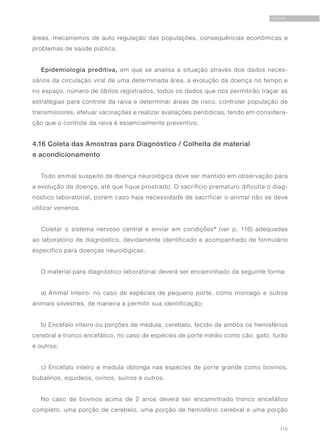 115
RAIVA
áreas, mecanismos de auto regulação das populações, consequências econômicas e
problemas de saúde pública.
Epidemiologia preditiva, em que se analisa a situação através dos dados neces-
sários da circulação viral de uma determinada área, a evolução da doença no tempo e
no espaço, número de óbitos registrados, todos os dados que nos permitirão traçar as
estratégias para controle da raiva e determinar áreas de risco, controlar população de
transmissores, efetuar vacinações e realizar avaliações periódicas, tendo em considera-
ção que o controle da raiva é essencialmente preventivo.
4.16 Coleta das Amostras para Diagnóstico / Colheita de material
e acondicionamento
Todo animal suspeito de doença neurológica deve ser mantido em observação para
a evolução da doença, até que fique prostrado. O sacrifício prematuro dificulta o diag-
nóstico laboratorial, porém caso haja necessidade de sacrificar o animal não se deve
utilizar venenos.
Coletar o sistema nervoso central e enviar em condições* (ver p. 116) adequadas
ao laboratório de diagnóstico, devidamente identificado e acompanhado de formulário
específico para doenças neurológicas.
O material para diagnóstico laboratorial deverá ser encaminhado da seguinte forma:
a) Animal inteiro: no caso de espécies de pequeno porte, como morcego e outros
animais silvestres, de maneira a permitir sua identificação;
b) Encéfalo inteiro ou porções de medula, cerebelo, tecido de ambos os hemisférios
cerebral e tronco encefálico, no caso de espécies de porte médio como cão, gato, furão
e outros;
c) Encéfalo inteiro e medula oblonga nas espécies de porte grande como bovinos,
bubalinos, equideos, ovinos, suínos e outros.
No caso de bovinos acima de 2 anos deverá ser encaminhado tronco encefálico
completo, uma porção de cerebelo, uma porção de hemisfério cerebral e uma porção
 