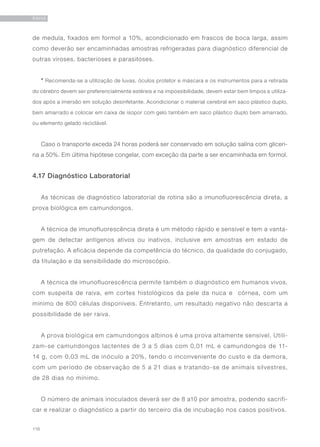 116
RAIVA
de medula, fixados em formol a 10%, acondicionado em frascos de boca larga, assim
como deverão ser encaminhadas amostras refrigeradas para diagnóstico diferencial de
outras viroses, bacterioses e parasitoses.
* Recomenda-se a utilização de luvas, óculos protetor e máscara e os instrumentos para a retirada
do cérebro devem ser preferencialmente estéreis e na impossibilidade, devem estar bem limpos e utiliza-
dos após a imersão em solução desinfetante. Acondicionar o material cerebral em saco plástico duplo,
bem amarrado e colocar em caixa de isopor com gelo também em saco plástico duplo bem amarrado,
ou elemento gelado reciclável.
Caso o transporte exceda 24 horas poderá ser conservado em solução salina com gliceri-
na a 50%. Em última hipótese congelar, com exceção da parte a ser encaminhada em formol.
4.17 Diagnóstico Laboratorial
As técnicas de diagnóstico laboratorial de rotina são a imunofluorescência direta, a
prova biológica em camundongos.
A técnica de imunofluorescência direta é um método rápido e sensível e tem a vanta-
gem de detectar antígenos ativos ou inativos, inclusive em amostras em estado de
putrefação. A eficácia depende da competência do técnico, da qualidade do conjugado,
da titulação e da sensibilidade do microscópio.
A técnica de imunofluorescência permite também o diagnóstico em humanos vivos,
com suspeita de raiva, em cortes histológicos da pele da nuca e córnea, com um
mínimo de 800 células disponíveis. Entretanto, um resultado negativo não descarta a
possibilidade de ser raiva.
A prova biológica em camundongos albinos é uma prova altamente sensível. Utili-
zam-se camundongos lactentes de 3 a 5 dias com 0,01 mL e camundongos de 11-
14 g, com 0,03 mL de inóculo a 20%, tendo o inconveniente do custo e da demora,
com um período de observação de 5 a 21 dias e tratando-se de animais silvestres,
de 28 dias no mínimo.
O número de animais inoculados deverá ser de 8 a10 por amostra, podendo sacrifi-
car e realizar o diagnóstico a partir do terceiro dia de incubação nos casos positivos.
 