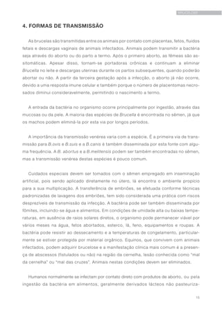 15
BRUCELOSE
4. FORMAS DE TRANSMISSÃO
As brucelas são transmitidas entre os animais por contato com placentas, fetos, fluidos
fetais e descargas vaginais de animais infectados. Animais podem transmitir a bactéria
seja através do aborto ou do parto a termo. Após o primeiro aborto, as fêmeas são as-
sitomáticas. Apesar disso, tornam-se portadoras crônicas e continuam a eliminar
Brucella no leite e descargas uterinas durante os partos subsequentes, quando poderão
abortar ou não. A partir da terceira gestação após a infecção, o aborto já não ocorre,
devido a uma resposta imune celular e também porque o número de placentomas necro-
sados diminui consideravelmente, permitindo o nascimento a termo.
A entrada da bactéria no organismo ocorre principalmente por ingestão, através das
mucosas ou da pele. A maioria das espécies de Brucella é encontrada no sêmen, já que
os machos podem eliminá-la por esta via por longos períodos.
A importância da transmissão venérea varia com a espécie. É a primeira via de trans-
missão para B.ovis e B.suis e a B.canis é também disseminada por esta fonte com algu-
ma frequência. A B. abortus e a B.melitensis podem ser também encontradas no sêmen,
mas a transmissão venérea destas espécies é pouco comum.
Cuidados especiais devem ser tomados com o sêmen empregado em inseminação
artificial, pois sendo aplicado diretamente no útero, lá encontra o ambiente propício
para a sua multiplicação. A transferência de embriões, se efetuada conforme técnicas
padronizadas de lavagens dos embriões, tem sido considerada uma prática com riscos
desprezíveis de transmissão da infecção. A bactéria pode ser também disseminada por
fômites, incluindo-se água e alimentos. Em condições de umidade alta ou baixas tempe-
raturas, em ausência de raios solares diretos, o organismo pode permanecer viável por
vários meses na água, fetos abortados, esterco, lã, feno, equipamentos e roupas. A
bactéria pode resistir ao dessecamento e a temperaturas de congelamento, particular-
mente se estiver protegida por material orgânico. Equinos, que convivem com animais
infectados, podem adquirir brucelose e a manifestação clínica mais comum é a presen-
ça de abscessos (fistulados ou não) na região da cernelha, lesão conhecida como “mal
da cernelha” ou “mal das cruzes”. Animais nestas condições devem ser eliminados.
Humanos normalmente se infectam por contato direto com produtos de aborto, ou pela
ingestão da bactéria em alimentos, geralmente derivados lácteos não pasteuriza-
 