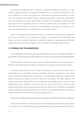 152
TUBERCULOSE
As lesões macroscópicas têm, em geral, coloração amarelada em bovinos, e ligei-
ramente esbranquiçadas em bubalinos; apresentam-se na forma de nódulos de 1 a 3
cm de diâmetro, ou mais, que podem ser confluentes, de aspecto purulento ou case-
oso, com presença de cápsula fibrosa, podendo apresentar necrose de caseificação
no centro da lesão ou, ainda, calcificação nos casos mais avançados. Embora possam
estar presentes em qualquer tecido do animal, as lesões são encontradas com mais
frequência em linfonodos (mediastínicos, retrofaríngeos, bronquiais, parotídeos, cervi-
cais, inguinais superficiais e mesentéricos), em pulmão e fígado.
Sendo uma doença de evolução muito lenta, os sinais clínicos são pouco frequentes
em bovinos e bubalinos. Em estágios avançados, e dependendo da localização das
lesões, os bovinos podem apresentar caquexia progressiva, hiperplasia de linfonodos
superficiais e/ou profundos, dispnéia, tosse, mastite e infertilidade, entre outros.
4. FORMAS DE TRANSMISSÃO
A mais significativa fonte de infecção para os rebanhos é o bovino ou o bubalino infectado. A
principal forma de introdução da Tuberculose em um rebanho é a aquisição de animais infectados.
Outras espécies de animais podem assumir papel importante como reservatório do
M.bovis, em condições de introduzir ou reintroduzir a doença em rebanhos bovinos.
Em países desenvolvidos, onde a Tuberculose Bovina encontra-se em fase final de
erradicação ou já erradicada, espécies silvestres assumem importância como reser-
vatório do M.bovis para bovinos. Na Europa, o texugo (Meles meles) fez a Tuberculose
Bovina ressurgir em áreas de onde já havia sido erradicada. Na Nova Zelândia, um
pequeno marsupial silvestre (Trichosurus vulpecula) é apontado como um dos principais
responsáveis pela reinfecção de bovinos pelo M. bovis. Nos EUA, os cervídeos têm
alguma importância como reservatórios de M. bovis para bovinos. No Brasil, certamente
existem espécies silvestres suscetíveis ao M. bovis, mas é desconhecida a importância
desses animais como reservatório do agente para bovinos.
O homem com Tuberculose causada pelo M. bovis pode ser fonte de infecção para os rebanhos.
Em animais infectados, o M. bovis pode ser eliminado pelo ar expirado, pelas fezes e
urina, pelo leite e outros fluidos corporais, dependendo dos órgãos afetados. A elimina-
 