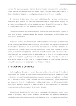 17
BRUCELOSE
animais. Na fase sub-aguda e crônica da enfermidade, torna-se difícil o diagnóstico
clínico pois os sintomas são bastante vagos e se confundem com outras doenças. O
diagnóstico bacteriológico ou sorológico pode ajudar a confirmar a suspeita.
O tratamento de bovinos e suínos com antibióticos não é prático nem tampouco
econômico, pois além do alto valor dos medicamentos e do longo período exigido, não
raro ocorrem recidivas. Além disso, o uso prolongado de antibióticos pode ter reflexos
na saúde pública, uma vez que tendem a persistir na carne e no leite.
Em cães e ovinos de alto valor zootécnico, o tratamento com antibióticos, apesar de
caro, pode ter algum sucesso, apesar dos animais apresentarem uma fertilidade baixa
em ausência da bactéria.
Na espécie humana, o tratamento com antibióticos é recomendado e quando realiza-
do nas fases iniciais (aguda) da enfermidade, os resultados são bastante satisfatórios.
Os antibióticos de eleição são a doxiciclina, aplicada por no mínimo 6 semanas e a
estreptomicina. Quando não houver envolvimento da vacina RB51 (resistente à rifam-
picina), a estreptomicina pode ser substituída pela rifampicina. Com este tratamento, a
literatura refere que a percentagem de recaídas é inferior a 5%. O cotrimoxazol (combi-
nação de trimetoprim e sulfametoxazol) é também eficiente, mas são frequentes as
recaídas (ao redor de 30%). Para as dosagens corretas e o período de tratamento
adequado, recomenda-se o acompanhamento de um médico.
6. PREVENÇÃO E CONTROLE
A eliminação da doença no homem depende fundamentalmente da eliminação da
enfermidade nos animais. A fonte mais importante de contaminação para humanos é o
contato com animais infectados ou os seus produtos. Logo, a prevenção deve ser base-
ada na eliminação destas fontes. Torna-se, portanto, fundamental a adoção de medidas
que reduzam o risco de infecção como medidas de proteção nas diferentes atividades
profissionais (proteção individual ao manipular fetos ou produtos de abortos) associadas
à higiene alimentar (pausterização de produtos lácteos).
A inexistência de vacinas, faz com que as medidas profiláticas sejam pouco impor-
tantes na prevenção da brucelose humana. Nos bovinos, isto pode ser obtido pela
vacinação dos animais de reprodução, visando aumentar a imunidade dos rebanhos e
 