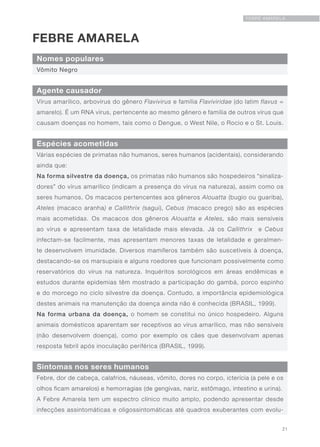 21
FEBRE AMARELA
FEBRE AMARELA
Nomes populares
Agente causador
Espécies acometidas
Sintomas nos seres humanos
Vômito Negro
Vírus amarílico, arbovírus do gênero Flavivirus e família Flaviviridae (do latim flavus =
amarelo). É um RNA vírus, pertencente ao mesmo gênero e família de outros vírus que
causam doenças no homem, tais como o Dengue, o West Nile, o Rocio e o St. Louis.
Várias espécies de primatas não humanos, seres humanos (acidentais), considerando
ainda que:
Na forma silvestre da doença, os primatas não humanos são hospedeiros “sinaliza-
dores” do vírus amarílico (indicam a presença do vírus na natureza), assim como os
seres humanos. Os macacos pertencentes aos gêneros Alouatta (bugio ou guariba),
Ateles (macaco aranha) e Callithrix (sagui), Cebus (macaco prego) são as espécies
mais acometidas. Os macacos dos gêneros Alouatta e Ateles, são mais sensíveis
ao vírus e apresentam taxa de letalidade mais elevada. Já os Callithrix e Cebus
infectam-se facilmente, mas apresentam menores taxas de letalidade e geralmen-
te desenvolvem imunidade. Diversos mamíferos também são suscetíveis à doença,
destacando-se os marsupiais e alguns roedores que funcionam possivelmente como
reservatórios do vírus na natureza. Inquéritos sorológicos em áreas endêmicas e
estudos durante epidemias têm mostrado a participação do gambá, porco espinho
e do morcego no ciclo silvestre da doença. Contudo, a importância epidemiológica
destes animais na manutenção da doença ainda não é conhecida (BRASIL, 1999).
Na forma urbana da doença, o homem se constitui no único hospedeiro. Alguns
animais domésticos aparentam ser receptivos ao vírus amarílico, mas não sensíveis
(não desenvolvem doença), como por exemplo os cães que desenvolvam apenas
resposta febril após inoculação periférica (BRASIL, 1999).
Febre, dor de cabeça, calafrios, náuseas, vômito, dores no corpo, icterícia (a pele e os
olhos ficam amarelos) e hemorragias (de gengivas, nariz, estômago, intestino e urina).
A Febre Amarela tem um espectro clínico muito amplo, podendo apresentar desde
infecções assintomáticas e oligossintomáticas até quadros exuberantes com evolu-
 