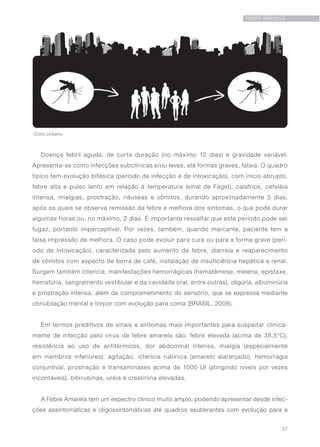 27
FEBRE AMARELA
Doença febril aguda, de curta duração (no máximo 12 dias) e gravidade variável.
Apresenta-se como infecções subclínicas e/ou leves, até formas graves, fatais. O quadro
típico tem evolução bifásica (período de infecção e de intoxicação), com início abrupto,
febre alta e pulso lento em relação à temperatura (sinal de Faget), calafrios, cefaléia
intensa, mialgias, prostração, náuseas e vômitos, durando aproximadamente 3 dias,
após os quais se observa remissão da febre e melhora dos sintomas, o que pode durar
algumas horas ou, no máximo, 2 dias. É importante ressaltar que este período pode ser
fugaz, portanto imperceptível. Por vezes, também, quando marcante, paciente tem a
falsa impressão de melhora. O caso pode evoluir para cura ou para a forma grave (perí-
odo de intoxicação), caracterizada pelo aumento da febre, diarréia e reaparecimento
de vômitos com aspecto de borra de café, instalação de insuficiência hepática e renal.
Surgem também icterícia, manifestações hemorrágicas (hematêmese, melena, epistaxe,
hematúria, sangramento vestibular e da cavidade oral, entre outras), oligúria, albuminúria
e prostração intensa, além de comprometimento do sensório, que se expressa mediante
obnubilação mental e torpor com evolução para coma (BRASIL, 2008).
Em termos preditivos de sinais e sintomas mais importantes para suspeitar clinica-
mente de infecção pelo vírus da febre amarela são: febre elevada (acima de 38,5°C),
resistência ao uso de antitérmicos, dor abdominal intensa, mialgia (especialmente
em membros inferiores), agitação, icterícia rubínica (amarelo alaranjado), hemorragia
conjuntival, prostração e transaminases acima de 1000 UI (atingindo níveis por vezes
incontáveis), bilirrubinas, uréia e creatinina elevadas.
A Febre Amarela tem um espectro clínico muito amplo, podendo apresentar desde infec-
ções assintomáticas e oligossintomáticas até quadros exuberantes com evolução para a
Ciclo Urbano
 