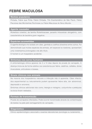 35
FEBRE MACULOSA
FEBRE MACULOSA
Nomes populares
Sinais clínicos nos animais
Agente causador
Formas de transmissão
Espécies acometidas
Diagnóstico
Sintomas nos seres humanos
Pintada, Febre que Pinta, Febre Chitada, Tifo Exantemático de São Paulo, Febre
Paculosa das Montanhas Rochosas ou Febre Maculosa do Novo Mundo.
Na maioria dos hospedeiros naturais a infecção não é aparente. Cães infecta-
dos experimental ou naturalmente podem apresentar febre alta, dor abdominal,
depressão e anorexia.
Sintomas clínicos adicionais tais como, letargia e nistagmo, conjuntivite e petéquias
na boca foram relatados.
Rickettsia rickettsii, da família Rickettsiaceae, parasito intracelular obrigatório, com
característica de bactéria gram negativa.
Picada de carrapatos infectados. Pode ocorrer transmissão através da contaminação
de lesões na pele pelo esmagamento do carrapato.
O agente etiológico foi isolado em cães, gambás e coelhos silvestres entre outros. Foi
demonstrado que muitas espécies de animais, em especial os roedores, apresentam
uma rickettsemia prolongada e de alto título.
O homem é um hospedeiro acidental.
Clínico-epidemiológico associado a exames laboratoriais (sorologia ou isolamento).
A sintomatologia clínica aparece de 2 a 14 dias depois da picada do carrapato. A
doença inicia-se de forma súbita e se caracteriza por febre, calafrios, cefaléia, dores
musculares, articulares e ósseas.
 