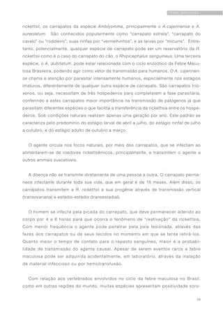 39
FEBRE MACULOSA
rickettsii, os carrapatos da espécie Amblyomma, principalmente o A.cajennense e A.
aureolatum. São conhecidos popularmente como “carrapato estrela”, “carrapato do
cavalo” ou “rodoleiro”; suas ninfas por “vermelhinhos”, e as larvas por ”micuins”. Entre-
tanto, potencialmente, qualquer espécie de carrapato pode ser um reservatório da R.
rickettsii como é o caso do carrapato do cão, o Rhipicephalus sanguineus. Uma terceira
espécie, o A. dubitatum, pode estar relacionada com o ciclo enzoótico da Febre Macu-
losa Brasileira, podendo agir como vetor da transmissão para humanos. O A. cajennen-
se chama a atenção por parasitar intensamente humanos, especialmente nos estágios
imaturos, diferentemente de qualquer outra espécie de carrapato. São carrapatos trio-
xenos, ou seja, necessitam de três hospedeiros para completarem a fase parasitária,
conferindo a estes carrapatos maior importância na transmissão de patógenos já que
parasitam diferentes espécies o que facilita a transferência da rickettsia entre os hospe-
deiros. Sob condições naturais realizam apenas uma geração por ano. Este padrão se
caracteriza pelo predomínio do estágio larval de abril a julho, do estágio ninfal de julho
a outubro, e do estágio adulto de outubro a março.
O agente circula nos focos naturais, por meio dos carrapatos, que se infectam ao
alimentarem-se de roedores rickettsêmicos, principalmente, e transmitem o agente a
outros animais suscetíveis.
A doença não se transmite diretamente de uma pessoa a outra. O carrapato perma-
nece infectante durante toda sua vida, que em geral é de 18 meses. Além disso, os
carrapatos transmitem a R. rickettsii a sua progênie através de transmissão vertical
(transovariana) e estádio-estádio (transestadial).
O homem se infecta pela picada do carrapato, que deve permanecer aderido ao
corpo por 4 a 6 horas para que ocorra o fenômeno de “reativação” da rickettsia.
Com menor frequência o agente pode penetrar pela pele lesionada, através das
fezes dos carrapatos ou de seus tecidos no momento em que se tenta retirá-los.
Quanto maior o tempo de contato para o repasto sanguíneo, maior é a probabi-
lidade de transmissão do agente causal. Apesar de serem eventos raros a febre
maculosa pode ser adquirida acidentalmente, em laboratório, através da inalação
de material infeccioso ou por hemotransfusão.
Com relação aos vertebrados envolvidos no ciclo da febre maculosa no Brasil,
como em outras regiões do mundo, muitas espécies apresentam positividade soro-
 