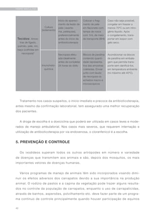 42
FEBRE MACULOSA
Tratamento nos casos suspeitos, o início imediato e precoce da antibioticoterapia,
antes mesmo da confirmação laboratorial, tem assegurado uma melhor recuperação
dos pacientes.
A droga de escolha é a doxiciclina que poderá ser utilizada em casos leves e mode-
rados de manejo ambulatorial. Nos casos mais severos, que requerem internação e
utilização de antibioticoterapia por via endovenosa, o cloranfenicol é a escolha.
5. PREVENÇÃO E CONTROLE
Os ixodídeos superam todos os outros artrópodes em número e variedade
de doenças que transmitem aos animais e são, depois dos mosquitos, os mais
importantes vetores de doenças humanas.
Vários programas de manejo de animais têm sido incorporados visando dimi-
nuir os efeitos adversos dos carrapatos devido a sua importância na produção
animal. O rodízio de pastos e a capina da vegetação pode trazer alguns resulta-
dos no controle da população de carrapatos, enquanto o uso de carrapaticidas,
através de banhos, aspersões, polvilhamento etc. deve fazer parte de um progra-
ma contínuo de controle principalmente quando houver participação de equinos
Tecidos: Amos-
tras de fígado,
pulmão, pele, rim,
baço (colhidas em
necropsia)*
Cultura
(isolamento)
Início do apareci-
mento da lesão de
pele ( exante-
ma, petéquias),
preferencialmente
antes do início da
antibioticoterapia
Colocar o frag-
mento de pele
em flaconete com
tampa de rosca
com 1mL de meio
de transporte (BHI)
Caso não seja possível,
congelar em freezer a
menos 70ºC ou em nitro-
gênio líquido. Após
o congelamento, trans-
portar em isopor com
gelo seco.
Imunohisto-
química
Necropsia efetu-
ada idealmente
antes de completar
24 horas do óbito
Blocos de parafina
contendo quanti-
dade representa-
tiva das amostras
coletadas. Enviar
junto com laudo
de necropsia os
achados macro e
microscópicos
Acondicionar os blocos
de parafina em embala-
gem que permita trans-
porte sem danificá-los,
em temperatura ambiente
(no máximo até 40ºC).
 