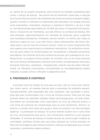 50
INFLUENZA AVIÁRIA
co, dentro de um quadro compatível, para tomarem as medidas necessárias para
conter o avanço da doença. Na prática não há tratamento viável para a infecção
do vírus da influenza aviária. No tratamento da influenza humana já existem drogas,
quando o homem é infectado os tratamentos são realizados com drogas antivirais
como amantadina, rimantadina, zanamavir e oseltamivir (Tamiflu) o uso por 2 dias
p.i. tem demonstrado ação efetiva em 70-90% dos casos. O hipoclorito de amanta-
dina e o hipoclorito de rimantadina, que são efetivas na profilaxia da doença, têm
sido utilizadas, experimentalmente, em infecções de codornas, perus e galinhas
com resultados satisfatórios. Entretanto, elas se mantém, no mínimo, por 3 dias na
albumina e gema do ovo, e por este motivo, estes medicamentos não foram libe-
rados para o uso em aves de consumo humano. Todos os outros tratamentos têm
sido usados como suporte para os problemas respiratórios. Os antibióticos utiliza-
dos são para reduzir as contaminações por micoplasmas e infecções bacterianas
secundárias. Os sintomas de IA são variáveis de acordo com a patogenia do vírus.
Desta forma, os quadros clínicos podem se confundir com os de outras doenças
tais como doença de Newcastle, pneumovirose aviária, laringotraqueíte infecciosa,
bronquite infecciosa, clamidiose, micoplasmose, enterite viral dos patos. Normal-
mente, as infecções concorrentes, principalmente as imunodepressoras podem
mascarar o quadro clínico e dificultar o diagnóstico da IA.
6. PREVENÇÃO E CONTROLE
A principal fonte de difusão do vírus para as aves, são as outras aves infecta-
das. Assim sendo, as medidas básicas para a prevenção do problema passam,
necessariamente, pela separação das aves saudáveis, das secreções e excre-
ções das aves contaminadas com o vírus da influenza aviária. Para que isto seja
possível devem ser adotadas medidas rígidas de biossegurança. As aves silves-
tres devem ser consideradas como reservatório do vírus da influenza aviária, e
uma fonte em potencial de contaminação para as aves domésticas. Diminuir ou
eliminar o contato entre estes dois grupos, deve se constituir num dos principais
objetivos na prevenção da doença. Os suínos também podem servir como fonte
do vírus, principalmente para perus, com transmissão mecânica ou por pessoas
infectadas. O controle da doença é iniciado através da comunicação imediata às
autoridades sanitárias oficiais para que estas apliquem as normas previstas no
Plano de Contingência para Influenza Aviária e Doença de Newcastle que incluem
isolamento, quarentena e abate sanitário.
 