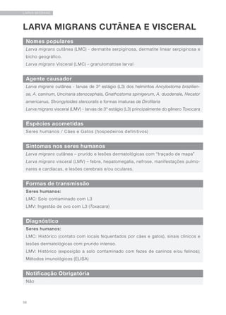56
LARVA MIGRANS
LARVA MIGRANS CUTÂNEA E VISCERAL
Nomes populares
Agente causador
Formas de transmissão
Espécies acometidas
Diagnóstico
Sintomas nos seres humanos
Larva migrans cutânea (LMC) - dermatite serpiginosa, dermatite linear serpiginosa e
bicho geográfico.
Larva migrans Visceral (LMC) - granulomatose larval
Larva migrans cutânea - larvas de 3º estágio (L3) dos helmintos Ancylostoma brazilien-
se, A. caninum, Uncinaria stenocephala, Gnathostoma spinigerum, A. duodenale, Necator
americanus, Strongyloides stercoralis e formas imaturas de Dirofilaria
Larva migrans visceral (LMV) - larvas de 3º estágio (L3) principalmente do gênero Toxocara
Seres humanos:
LMC: Solo contaminado com L3
LMV: Ingestão de ovo com L3 (Toxacara)
Seres humanos / Cães e Gatos (hospedeiros definitivos)
Seres humanos:
LMC: Histórico (contato com locais fequentados por cães e gatos), sinais clínicos e
lesões dermatológicas com prurido intenso.
LMV: Histórico (exposição a solo contaminado com fezes de caninos e/ou felinos);
Métodos imunológicos (ELISA)
Larva migrans cutânea – prurido e lesões dermatológicas com “traçado de mapa”
Larva migrans visceral (LMV) – febre, hepatomegalia, nefrose, manifestações pulmo-
nares e cardíacas, e lesões cerebrais e/ou oculares.
Notificação Obrigatória
Não
 