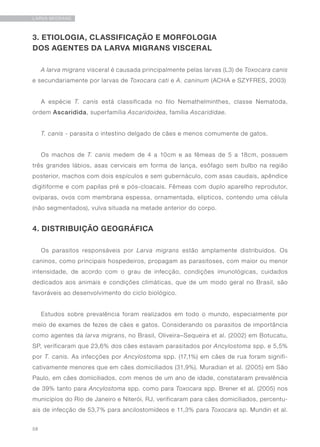 58
LARVA MIGRANS
3. ETIOLOGIA, CLASSIFICAÇÃO E MORFOLOGIA
DOS AGENTES DA LARVA MIGRANS VISCERAL
A larva migrans visceral é causada principalmente pelas larvas (L3) de Toxocara canis
e secundariamente por larvas de Toxocara cati e A. caninum (ACHA e SZYFRES, 2003)
A espécie T. canis está classificada no filo Nemathelminthes, classe Nematoda,
ordem Ascaridida, superfamília Ascaridoidea, família Ascarididae.
T. canis - parasita o intestino delgado de cães e menos comumente de gatos.
Os machos de T. canis medem de 4 a 10cm e as fêmeas de 5 a 18cm, possuem
três grandes lábios, asas cervicais em forma de lança, esôfago sem bulbo na região
posterior, machos com dois espículos e sem gubernáculo, com asas caudais, apêndice
digitiforme e com papilas pré e pós-cloacais. Fêmeas com duplo aparelho reprodutor,
ovíparas, ovos com membrana espessa, ornamentada, elípticos, contendo uma célula
(não segmentados), vulva situada na metade anterior do corpo.
4. DISTRIBUIÇÃO GEOGRÁFICA
Os parasitos responsáveis por Larva migrans estão amplamente distribuídos. Os
caninos, como principais hospedeiros, propagam as parasitoses, com maior ou menor
intensidade, de acordo com o grau de infecção, condições imunológicas, cuidados
dedicados aos animais e condições climáticas, que de um modo geral no Brasil, são
favoráveis ao desenvolvimento do ciclo biológico.
Estudos sobre prevalência foram realizados em todo o mundo, especialmente por
meio de exames de fezes de cães e gatos. Considerando os parasitos de importância
como agentes da larva migrans, no Brasil, Oliveira–Sequeira et al. (2002) em Botucatu,
SP, verificaram que 23,6% dos cães estavam parasitados por Ancylostoma spp. e 5,5%
por T. canis. As infecções por Ancylostoma spp. (17,1%) em cães de rua foram signifi-
cativamente menores que em cães domiciliados (31,9%). Muradian et al. (2005) em São
Paulo, em cães domiciliados, com menos de um ano de idade, constataram prevalência
de 39% tanto para Ancylostoma spp. como para Toxocara spp. Brener et al. (2005) nos
municípios do Rio de Janeiro e Niterói, RJ, verificaram para cães domiciliados, percentu-
ais de infecção de 53,7% para ancilostomídeos e 11,3% para Toxocara sp. Mundin et al.
 