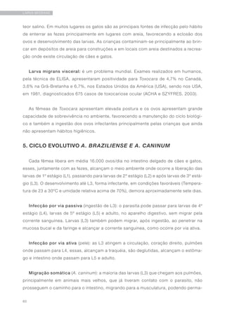 60
LARVA MIGRANS
teor salino. Em muitos lugares os gatos são as principais fontes de infecção pelo hábito
de enterrar as fezes principalmente em lugares com areia, favorecendo a eclosão dos
ovos e desenvolvimento das larvas. As crianças contaminam-se principalmente ao brin-
car em depósitos de areia para construções e em locais com areia destinados a recrea-
ção onde existe circulação de cães e gatos.
Larva migrans visceral: é um problema mundial. Exames realizados em humanos,
pela técnica de ELISA, apresentaram positividade para Toxocara de 4,7% no Canadá,
3,6% na Grã-Bretanha e 6,7%, nos Estados Unidos da América (USA), sendo nos USA,
em 1981, diagnosticados 675 casos de toxocariose ocular (ACHA e SZYFRES, 2003).
As fêmeas de Toxocara apresentam elevada postura e os ovos apresentam grande
capacidade de sobrevivência no ambiente, favorecendo a manutenção do ciclo biológi-
co e também a ingestão dos ovos infectantes principalmente pelas crianças que ainda
não apresentam hábitos higiênicos.
5. CICLO EVOLUTIVO A. BRAZILIENSE E A. CANINUM
Cada fêmea libera em média 16.000 ovos/dia no intestino delgado de cães e gatos,
esses, juntamente com as fezes, alcançam o meio ambiente onde ocorre a liberação das
larvas de 1º estágio (L1), passando para larvas de 2º estágio (L2) e após larvas de 3º está-
gio (L3). O desenvolvimento até L3, forma infectante, em condições favoráveis (Tempera-
tura de 23 a 30ºC e umidade relativa acima de 70%), demora aproximadamente sete dias.
Infecção por via passiva (ingestão de L3): o parasita pode passar para larvas de 4º
estágio (L4), larvas de 5º estágio (L5) e adulto, no aparelho digestivo, sem migrar pela
corrente sanguínea. Larvas (L3) também podem migrar, após ingestão, ao penetrar na
mucosa bucal e da faringe e alcançar a corrente sanguínea, como ocorre por via ativa.
Infecção por via ativa (pele): as L3 atingem a circulação, coração direito, pulmões
onde passam para L4, essas, alcançam a traquéia, são deglutidas, alcançam o estôma-
go e intestino onde passam para L5 e adulto.
Migração somática (A. caninum): a maioria das larvas (L3) que chegam aos pulmões,
principalmente em animais mais velhos, que já tiveram contato com o parasito, não
prosseguem o caminho para o intestino, migrando para a musculatura, podendo perma-
 