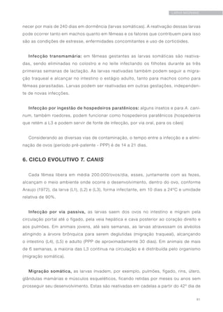 61
LARVA MIGRANS
necer por mais de 240 dias em dormência (larvas somáticas). A reativação dessas larvas
pode ocorrer tanto em machos quanto em fêmeas e os fatores que contribuem para isso
são as condições de estresse, enfermidades concomitantes e uso de corticóides.
Infecção transmamária: em fêmeas gestantes as larvas somáticas são reativa-
das, sendo eliminadas no colostro e no leite infectando os filhotes durante as três
primeiras semanas de lactação. As larvas reativadas também podem seguir a migra-
ção traqueal e alcançar no intestino o estágio adulto, tanto para machos como para
fêmeas parasitadas. Larvas podem ser reativadas em outras gestações, independen-
te de novas infecções.
Infecção por ingestão de hospedeiros paratênicos: alguns insetos e para A. cani-
num, também roedores, podem funcionar como hospedeiros paratênicos (hospedeiros
que retém a L3 e podem servir de fonte de infecção, por via oral, para os cães)
Considerando as diversas vias de contaminação, o tempo entre a infecção e a elimi-
nação de ovos (período pré-patente - PPP) é de 14 a 21 dias.
6. CICLO EVOLUTIVO T. CANIS
Cada fêmea libera em média 200.000/ovos/dia, esses, juntamente com as fezes,
alcançam o meio ambiente onde ocorre o desenvolvimento, dentro do ovo, conforme
Araujo (1972), da larva (L1), (L2) e (L3), forma infectante, em 10 dias a 24ºC e umidade
relativa de 90%.
Infecção por via passiva, as larvas saem dos ovos no intestino e migram pela
circulação portal até o fígado, pela veia hepática e cava posterior ao coração direito e
aos pulmões. Em animais jovens, até seis semanas, as larvas atravessam os alvéolos
atingindo a árvore brônquica para serem deglutidas (migração traqueal), alcançando
o intestino (L4), (L5) e adulto (PPP de aproximadamente 30 dias). Em animais de mais
de 6 semanas, a maioria das L3 continua na circulação e é distribuída pelo organismo
(migração somática).
Migração somática, as larvas invadem, por exemplo, pulmões, fígado, rins, útero,
glândulas mamárias e músculos esqueléticos, ficando retidas por meses ou anos sem
prosseguir seu desenvolvimento. Estas são reativadas em cadelas a partir do 42º dia de
 