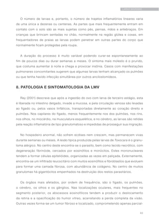 63
LARVA MIGRANS
O número de larvas e, portanto, o número de trajetos inflamatórios lineares varia
de uma única a dezenas ou centenas. As partes que mais frequentemente entram em
contato com o solo são as mais sujeitas como pés, pernas, mãos e antebraços. Em
crianças que brincam sentadas no chão, normalmente na região glútea e coxas, em
frequentadores de praias as larvas podem penetrar em outras partes do corpo que
normalmente ficam protegidas pela roupa.
A duração do processo é muito variável podendo curar-se espontaneamente ao
fim de poucos dias ou durar semanas a meses. O sintoma mais molesto é o prurido,
que costuma aumentar à noite e chega a provocar insônia. Casos com manifestações
pulmonares concomitantes sugerem que algumas larvas tenham alcançado os pulmões
ou que tenha havido infecção simultânea por outros ancilostomídeos.
8. PATOLOGIA E SINTOMATOLOGIA DA LMV
Rey (2001) descreve que após a ingestão do ovo com larva de terceiro estágio, esta
é liberada no intestino delgado, invade a mucosa, e pela circulação venosa são levadas
ao fígado ou, pelos vasos linfáticos, transportadas diretamente ao coração direito e
pulmões. Nos capilares do fígado, menos frequentemente nos dos pulmões, nos rins,
nos olhos, no miocárdio, na musculatura esquelética, e no cérebro, as larvas são retidas
pela reação inflamatória de tipo granulomatoso e impedidas de prosseguir sua migração.
No hospedeiro anormal, não sofrem ecdises nem crescem, mas permanecem vivas
durante semanas ou meses. A lesão típica produzida pelas larvas de Toxocara é o granu-
loma alérgico. No centro deste encontra-se o parasito, bem como tecido necrótico, com
degeneração fibrinóide, cercados por eosinófilos e monócitos. Estes mononucleares
tendem a formar células epitelióides, organizadas as vezes em paliçada. Externamente,
encontra-se um infiltrado leucocitário com muitos eosinófilos e fibroblastos que evoluem
para formar uma camada fibrosa, com abundância de colágeno. No centro de muitos
granulomas há gigantócitos empenhados na destruição dos restos parasitários.
Os órgãos mais afetados, por ordem de frequência, são o fígado, os pulmões,
o cérebro, os olhos e os gânglios. Nas localizações oculares, mais frequentes no
segmento posterior, os abscessos eosinofílicos tendem a produzir o deslocamento
da retina e a opacificação do humor vítreo, acarretando a perda completa da visão.
Outras vezes forma-se um tumor fibroso e localizado, comprometendo apenas parcial-
 