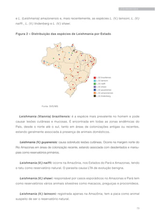 73
LEISHMANIOSES
e L. (Leishmania) amazonensis e, mais recentemente, as espécies L. (V.) lainsoni, L. (V.)
naiffi , L. (V.) lindenberg e L. (V.) shawi.
Figura 2 – Distribuição das espécies de Leishmania por Estado
		 Fonte: SVS/MS
Leishmania (Viannia) braziliensis: é a espécie mais prevalente no homem e pode
causar lesões cutâneas e mucosas. É encontrada em todas as zonas endêmicas do
País, desde o norte até o sul, tanto em áreas de colonizações antigas ou recentes,
estando geralmente associada à presença de animais domésticos.
Leishmania (V.) guyanensis: causa sobretudo lesões cutâneas. Ocorre na margem norte do
Rio Amazonas em áreas de colonização recente, estando associada com desdentados e marsu-
piais como reservatórios primários.
Leishmania (V.) naiffi: ocorre na Amazônia, nos Estados do Pará e Amazonas, tendo
o tatu como reservatório natural. O parasita causa LTA de evolução benigna.
Leishmania (V.) shawi: responsável por casos esporádicos no Amazonas e Pará tem
como reservatórios vários animais silvestres como macacos, preguiças e procionídeos.
Leishmania (V.) lainsoni: registrada apenas na Amazônia, tem a paca como animal
suspeito de ser o reservatório natural.
 