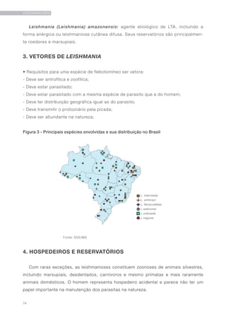 74
LEISHMANIOSES
Leishmania (Leishmania) amazonensis: agente etiológico de LTA, incluindo a
forma anérgica ou leishmaniose cutânea difusa. Seus reservatórios são principalmen-
te roedores e marsupiais.
3. VETORES DE LEISHMANIA
• Requisitos para uma espécie de flebotomíneo ser vetora:
- Deve ser antrofílica e zoofilíca;
- Deve estar parasitado;
- Deve estar parasitado com a mesma espécie de parasito que a do homem;
- Deve ter distribuição geográfica igual ao do parasito;
- Deve transmitir o protozoário pela picada;
- Deve ser abundante na natureza;
Figura 3 - Principais espécies envolvidas e sua distribuição no Brasil
	
		 Fonte: SVS/MS
4. HOSPEDEIROS E RESERVATÓRIOS
Com raras exceções, as leishmanioses constituem zoonoses de animais silvestres,
incluindo marsupiais, desdentados, carnívoros e mesmo primatas e mais raramente
animais domésticos. O homem representa hospedeiro acidental e parece não ter um
papel importante na manutenção dos parasitas na natureza.
 