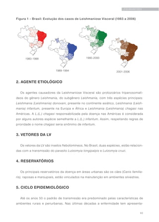 83
LEISHMANIOSES
2. AGENTE ETIOLÓGICO
Os agentes causadores da Leishmaniose Visceral são protozoários tripanosomatí-
deos do gênero Leishmania, do subgênero Leishmania, com três espécies principais:
Leishmania (Leishmania) donovani, presente no continente asiático, Leishmania (Leish-
mania) infantum, presente na Europa e África e Leishmania (Leishmania) chagasi nas
Américas. A L.(L.) chagasi responsabilizada pela doença nas Américas é considerada
por alguns autores espécie semelhante a L.(L.) infantum. Assim, respeitando regras de
prioridade o nome chagasi seria sinônimo de infantum.
3. VETORES DA LV
Os vetores da LV são insetos flebotomíneos. No Brasil, duas espécies, estão relacion-
das com a transmissão do parasito Lutzomyia longipalpis e Lutzomyia cruzi.
4. RESERVATÓRIOS
Os principais reservatórios da doença em áreas urbanas são os cães (Canis familia-
ris), raposas e marsupiais, estão vinculados na manutenção em ambientes silvestres.
5. CICLO EPIDEMIOLÓGICO
Até os anos 50 o padrão de transmissão era predominado pelas características de
ambientes rurais e periurbanas. Nas últimas décadas a enfermidade tem apresenta-
Figura 1 - Brasil: Evolução dos casos de Leishmaniose Visceral (1983 a 2006)
 