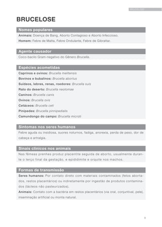 9
BRUCELOSE
BRUCELOSE
Nomes populares
Sinais clínicos nos animais
Agente causador
Formas de transmissão
Espécies acometidas
Sintomas nos seres humanos
Animais: Doença de Bang, Aborto Contagioso e Aborto Infeccioso.
Homem: Febre de Malta, Febre Ondulante, Febre de Gibraltar.
Nas fêmeas prenhes produz placentite seguida de aborto, usualmente duran-
te o terço final da gestação, e epididimite e orquite nos machos.
Coco-bacilo Gram-negativo do Gênero Brucella.
Seres humanos: Por contato direto com materiais contaminados (fetos aborta-
dos, restos placentários) ou indiretamente por ingestão de produtos contamina-
dos (lácteos não pasteurizados).
Animais: Contato com a bactéria em restos placentários (via oral, conjuntival, pele),
inseminação artificial ou monta natural.
Caprinos e ovinos: Brucella melitensis
Bovinos e bubalinos: Brucella abortus
Suídeos, lebres, renas, roedores: Brucella suis
Rato do deserto: Brucella neotomae
Caninos: Brucella canis
Ovinos: Brucella ovis
Cetáceos: Brucella ceti
Pinípedes: Brucella pinnipedialis
Camundongo do campo: Brucella microti
Febre aguda ou insidiosa, suores noturnos, fadiga, anorexia, perda de peso, dor de
cabeça e artralgia.
 