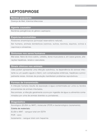 91
LEPTOSPIROSE
LEPTOSPIROSE
Nomes populares
Sinais clínicos nos animais
Agente causador
Formas de transmissão
Espécies acometidas
Diagnóstico
Sintomas nos seres humanos
Doença de Weil, Icterícia Infecciosa
Cães podem apresentar uma infecção subclínica, na dependência do sorovar infec-
tante ou um quadro agudo e febril, com complicações entéricas, hepáticas e princi-
palmente renais. Animais de produção manifestam problemas reprodutivos.
Bactérias patogênicas do gênero Leptospira
A infecção humana resulta da exposição à água contaminada por urina ou tecidos
provenientes de animais infectados.
Nos animais, a infecção geralmente ocorre por ingestão de água ou alimentos conta-
minados por urina de animais doentes ou portadores.
Roedores sinantrópicos (principal reservatório natural).
Ser humano, animais domésticos (caninos, suínos, bovinos, equinos, ovinos e
caprinos) e silvestres.
Sorológico (ELISA ou MAT), molecular (PCR) e bacteriológico (isolamento).
Coleta de materiais:
ELISA e MAT - sangue total em EDTA
PCR - soro
Isolamento - sangue total com heparina
Mal estar, febre de início súbito, cefaléia, dores musculares e, em casos graves, alte-
rações hepáticas, renais e vasculares.
 