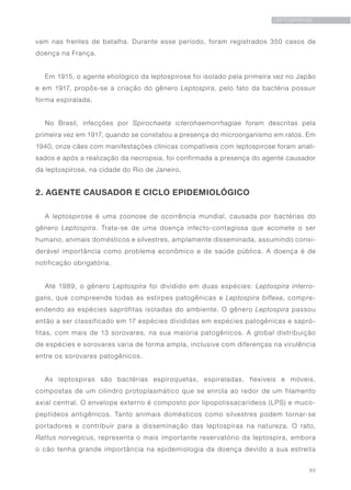 93
LEPTOSPIROSE
vam nas frentes de batalha. Durante esse período, foram registrados 350 casos de
doença na França.
Em 1915, o agente etiológico da leptospirose foi isolado pela primeira vez no Japão
e em 1917, propôs-se a criação do gênero Leptospira, pelo fato da bactéria possuir
forma espiralada.
No Brasil, infecções por Spirochaeta icterohaemorrhagiae foram descritas pela
primeira vez em 1917, quando se constatou a presença do microorganismo em ratos. Em
1940, onze cães com manifestações clínicas compatíveis com leptospirose foram anali-
sados e após a realização da necropsia, foi confirmada a presença do agente causador
da leptospirose, na cidade do Rio de Janeiro.
2. AGENTE CAUSADOR E CICLO EPIDEMIOLÓGICO
A leptospirose é uma zoonose de ocorrência mundial, causada por bactérias do
gênero Leptospira. Trata-se de uma doença infecto-contagiosa que acomete o ser
humano, animais domésticos e silvestres, amplamente disseminada, assumindo consi-
derável importância como problema econômico e de saúde pública. A doença é de
notificação obrigatória.
Até 1989, o gênero Leptospira foi dividido em duas espécies: Leptospira interro-
gans, que compreende todas as estirpes patogênicas e Leptospira biflexa, compre-
endendo as espécies saprófitas isoladas do ambiente. O gênero Leptospira passou
então a ser classificado em 17 espécies divididas em espécies patogênicas e sapró-
fitas, com mais de 13 sorovares, na sua maioria patogênicos. A global distribuição
de espécies e sorovares varia de forma ampla, inclusive com diferenças na virulência
entre os sorovares patogênicos.
As leptospiras são bactérias espiroquetas, espiraladas, flexíveis e móveis,
compostas de um cilindro protoplasmático que se enrola ao redor de um filamento
axial central. O envelope externo é composto por lipopolissacarídeos (LPS) e muco-
peptídeos antigênicos. Tanto animais domésticos como silvestres podem tornar-se
portadores e contribuir para a disseminação das leptospiras na natureza. O rato,
Rattus norvegicus, representa o mais importante reservatório da leptospira, embora
o cão tenha grande importância na epidemiologia da doença devido a sua estreita
 