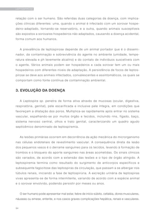 94
LEPTOSPIROSE
relação com o ser humano. São referidas duas categorias da doença, com implica-
ções clínicas diferentes: uma, quando o animal é infectado com um sorovar hospe-
deiro-adaptado, tornando-se reservatório, e a outra, quando animais susceptíveis
são expostos a sorovares hospedeiros não adaptados, causando a doença acidental,
forma comum aos humanos.
A prevalência de leptospirose depende de um animal portador que é o dissemi-
nador, da contaminação e sobrevivência do agente no ambiente (umidade, tempe-
ratura elevada e ph levemente alcalino) e do contato de indivíduos suscetíveis com
o agente. Vários animais podem ser hospedeiros e cada sorovar tem um ou mais
hospedeiros com diferentes níveis de adaptação. A persistência de focos de leptos-
pirose se deve aos animais infectados, convalescentes e assintomáticos, os quais se
comportam como fonte contínua de contaminação ambiental.
3. EVOLUÇÃO DA DOENÇA
A Leptospira sp. penetra de forma ativa através de mucosas (ocular, digestiva,
respiratória, genital), pele escarificada e inclusive pele íntegra, em condições que
favoreçam a dilatação dos poros. Multiplica-se rapidamente após entrar no sistema
vascular, espalhando-se por muitos órgão e tecidos, incluindo rins, fígado, baço,
sistema nervoso central, olhos e trato genital, caracterizando um quadro agudo
septicêmico denominado de leptospiremia.
As lesões primárias ocorrem em decorrência da ação mecânica do microrganismo
nas células endoteliais de revestimento vascular. A consequência direta da lesão
dos pequenos vasos é o derrame sanguíneo para os tecidos, levando à formação de
trombos e o bloqueio do aporte sanguíneo nas áreas acometidas. Os sinais clínicos
são variados, de acordo com a extensão das lesões e o tipo de órgão atingido. A
leptospiremia termina como resultado do surgimento de anticorpos específicos e
subsequente fagocitose das leptospiras da circulação, que passam a se albergar nos
túbulos renais, iniciando a fase de leptospirúria. A excreção urinária de leptospiras
vivas apresenta-se de forma intermitente, variando de acordo com a espécie animal
e o sorovar envolvido, podendo persistir por meses ou anos.
O ser humano pode apresentar mal estar, febre de início súbito, cefaléia, dores musculares,
náuseas ou emese, enterite, e nos casos graves complicações hepática, renais e vasculares.
 