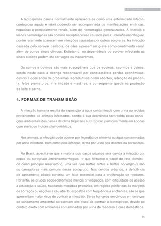 95
LEPTOSPIROSE
A leptospirose canina normalmente apresenta-se como uma enfermidade infecto-
contagiosa aguda e febril podendo ser acompanhada de manifestações entéricas,
hepáticas e principalmente renais, além de hemorragias generalizadas. A icterícia e
lesões hemorrágicas são comuns na leptospirose causada pela L. icterohaemorrhagiae,
porém raramente aparecem em infecções causadas por outros sorovares. Na infecção
causada pelo sorovar canicola, os cães apresentam grave comprometimento renal,
além de outros sinais clínicos. Entretanto, na dependência do sorovar infectante os
sinais clínicos podem até ser vagos ou inaparentes.
Os suínos e bovinos são mais susceptíveis que os equinos, caprinos e ovinos,
sendo neste caso a doença responsável por consideráveis perdas econômicas,
devido a ocorrência de problemas reprodutivos como abortos, retenção de placen-
ta, fetos prematuros, infertilidade e mastites, e consequente queda na produção
de leite e carne.
4. FORMAS DE TRANSMISSÃO
A infecção humana resulta da exposição à água contaminada com urina ou tecidos
provenientes de animais infectados, sendo a sua ocorrência favorecida pelas condi-
ções ambientais dos países de clima tropical e subtropical, particularmente em épocas
com elevados índices pluviométricos.
Nos animais, a infecção pode ocorrer por ingestão de alimento ou água contaminados
por urina infectada, bem como pela infecção direta por urina dos doentes ou portadores.
No Brasil, acredita-se que a maioria dos casos urbanos seja devida à infecção por
cepas do sorogrupo icterohaemorrhagiae, o que fortalece o papel do rato domésti-
co como principal reservatório, uma vez que Rattus rattus e Rattus norvergicus são
os carreadores mais comuns desse sorogrupo. Nos centros urbanos, a deficiência
de saneamento básico constitui um fator essencial para a proliferação de roedores.
Portanto, os grupos socioeconômicos menos privilegiados, com dificuldade de acesso
à educação e saúde, habitando moradias precárias, em regiões periféricas às margens
de córregos ou esgotos a céu aberto, expostos com frequência a enchentes, são os que
apresentam maior risco de contrair a infecção. Seres humanos envolvidos em serviços
de saneamento ambiental apresentam alto risco de contrair a leptospirose, devido ao
contato direto com ambientes contaminados por urina de roedores e cães domésticos.
 
