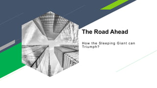 The Road Ahead
H ow the Sleeping Giant c an
Tr iumph?
 