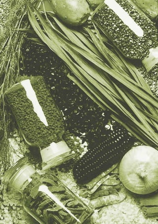 Manual para elaborar planes de Bionegocios
 