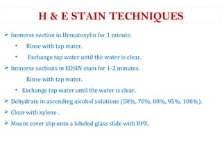 Staining Hand Eprocess STAINING TECHNIQUES IN MICROBIOLOGY & CELL BIOLOGY | PPT