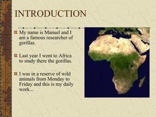 INTRODUCTION My name is Manuel and I am a famous researcher of gorillas. Last year I went to Africa to study there the gorillas. I was in a reserve of wild animals from Monday to Friday and this is my daily work... 
