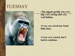 TUESDAY The gigant gorilla was very big, very strong and very well hidden. I was very tired but I had little time. I was very scared, but I had to continue. 
