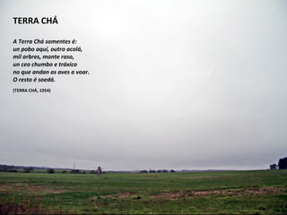TERRA CHÁ
 
A Terra Chá somentes é:
un pobo aquí, outro acolá,
mil arbres, monte raso,
un ceo chumbo e tráxico
no que andan as aves a voar.
O resto é soedá.
(TERRA CHÁ, 1954)
 