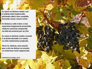 Eu nacín no Outono cando o sol
é colleita total madurecida,
plenitude cabal e ben cumplida,
frorecido ronsel, morno remol.
En Outono a vida é doce e mol,
esperanza longamente presentida,
madurez xenerosa conquerida
na loita da semente por ser frol.
Eu nacín en Outono cando o mundo
é un froito dourado e en sazón,
un soño melancónico profundo.
Para tí é, Outono, esta canción
que a min me deixou no corazón
un misterioso vento vagamundo.
...
(POEMAS Ó OUTONO, 1977)
 