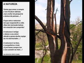 A NATUREZA
 
Temos que amar a campía
e non lle facer aldraxe.
non encher de porquería
a beleza da paisaxe...!
O que ama a natureza
ten que respectarlle a vida.
Non hai meirande beleza
nin emoción tan cumprida!
A natureza é amiga
e danos o seu amor:
dende a graza dunha espiga
ao río marmurador...!
A natureza é un ben,
é compañeira e irmá.
E pró home sempre ten
o seu corazón na man...!
 
(AS RÚAS DO VENTO CEIBE, 1979)
 