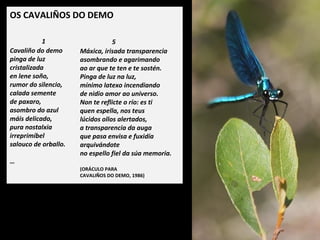 OS CAVALIÑOS DO DEMO
 
1
Cavaliño do demo
pinga de luz
cristalizada
en lene soño,
rumor do silencio,
calada semente
de paxaro,
asombro do azul
máis delicado,
pura nostalxia
irreprimíbel
salouco de orballo.
…
5
Máxica, irisada transparencia
asombrando e agarimando
ao ar que te ten e te sostén.
Pinga de luz na luz,
mínimo latexo incendiando
de nidio amor ao universo.
Non te reflicte o río: es ti
quen espella, nos teus
lúcidos ollos alertados,
a transparencia da auga
que pasa envisa e fuxidía
arquivándote
no espello fiel da súa memoria.
(ORÁCULO PARA
CAVALIÑOS DO DEMO, 1986)
 