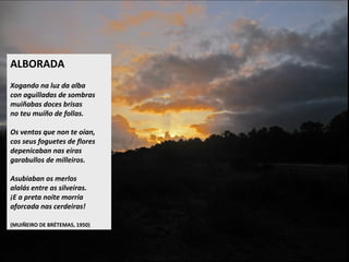 ALBORADA
Xogando na luz da alba
con aguilladas de sombras
muiñabas doces brisas
no teu muíño de follas.
Os ventos que non te oían,
cos seus foguetes de flores
depenicaban nas eiras
garabullos de milleiros.
Asubiaban os merlos
alalás entre as silveiras.
E a preta noite morría
aforcada nas cerdeiras!
(MUIÑEIRO DE BRÉTEMAS, 1950)
 