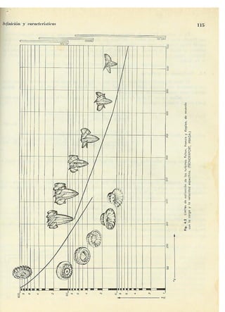 Manuel polo-encinas-turbomaquinas-hidraulicas