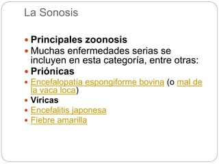 La Sonosis
 Principales zoonosis
 Muchas enfermedades serias se
incluyen en esta categoría, entre otras:
 Priónicas
 Encefalopatía espongiforme bovina (o mal de
la vaca loca)
 Víricas
 Encefalitis japonesa
 Fiebre amarilla
 