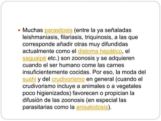  Muchas parasitosis (entre la ya señaladas
leishmaniasis, filariasis, triquinosis, a las que
corresponde añadir otras muy difundidas
actualmente como el distoma hepático, el
saguaipé etc.) son zoonosis y se adquieren
cuando el ser humano come las carnes
insuficientemente cocidas. Por eso, la moda del
sushi y del crudivorismo en general (cuando el
crudivorismo incluye a animales o a vegetales
poco higienizados) favorecen o propician la
difusión de las zoonosis (en especial las
parasitarias como la anisakidosis).
 