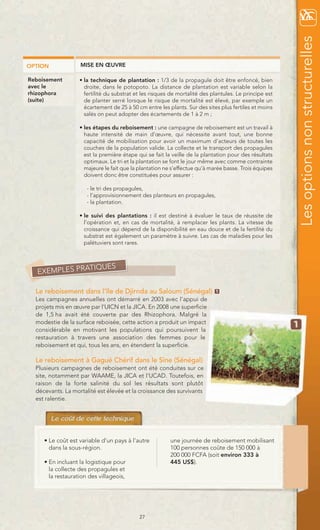 Les options non structurelles
OPTION             MISE EN ŒUVRE

Reboisement        • la technique de plantation : 1/3 de la propagule doit être enfoncé, bien
avec le              droite, dans le potopoto. La distance de plantation est variable selon la
rhizophora           fertilité du substrat et les risques de mortalité des plantules. Le principe est
(suite)              de planter serré lorsque le risque de mortalité est élevé, par exemple un
                     écartement de 25 à 50 cm entre les plants. Sur des sites plus fertiles et moins
                     salés on peut adopter des écartements de 1 à 2 m ;

                   • les étapes du reboisement : une campagne de reboisement est un travail à
                     haute intensité de main d’œuvre, qui nécessite avant tout, une bonne
                     capacité de mobilisation pour avoir un maximum d’acteurs de toutes les
                     couches de la population valide. La collecte et le transport des propagules
                     est la première étape qui se fait la veille de la plantation pour des résultats
                     optimaux. Le tri et la plantation se font le jour même avec comme contrainte
                     majeure le fait que la plantation ne s’effectue qu’à marée basse. Trois équipes
                     doivent donc être constituées pour assurer :

                      - le tri des propagules,
                      - l’approvisionnement des planteurs en propagules,
                      - la plantation.

                   • le suivi des plantations : il est destiné à évaluer le taux de réussite de
                     l’opération et, en cas de mortalité, à remplacer les plants. La vitesse de
                     croissance qui dépend de la disponibilité en eau douce et de la fertilité du
                     substrat est également un paramètre à suivre. Les cas de maladies pour les
                     palétuviers sont rares.



               TIQUES
   EXEMPLES PRA

  Le reboisement dans l’île de Djirnda au Saloum (Sénégal)                  1

  Les campagnes annuelles ont démarré en 2003 avec l’appui de
  projets mis en œuvre par l’UICN et la JICA. En 2008 une superficie
  de 1,5 ha avait été couverte par des Rhizophora. Malgré la
  modestie de la surface reboisée, cette action a produit un impact
  considérable en motivant les populations qui poursuivent la
  restauration à travers une association des femmes pour le
  reboisement et qui, tous les ans, en étendent la superficie.

  Le reboisement à Gagué Chérif dans le Sine (Sénégal)
  Plusieurs campagnes de reboisement ont été conduites sur ce
  site, notamment par WAAME, la JICA et l’UCAD. Toutefois, en
  raison de la forte salinité du sol les résultats sont plutôt
  décevants. La mortalité est élevée et la croissance des survivants
  est ralentie.




     • Le coût est variable d’un pays à l’autre          une journée de reboisement mobilisant
       dans la sous-région.                              100 personnes coûte de 150 000 à
                                                         200 000 FCFA (soit environ 333 à
     • En incluant la logistique pour                    445 US$).
       la collecte des propagules et
       la restauration des villageois,




                                            27
 