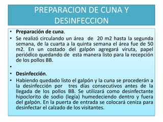 PREPARACION DE CUNA Y DESINFECCIONPreparación de cuna.Se realizó circulando un área  de  20 m2 hasta la segunda semana, de la cuarta a la quinta semana el área fue de 50 m2. En un costado del galpón agregará viruta, papel periódico quedando de  esta manera listo para la recepción de los pollos BB. Desinfección.Habiendo quedado listo el galpón y la cuna se procederán a la desinfección por  tres días consecutivos antes de la llegada de los pollos BB. Se utilizará como desinfectante hipoclorito de sodio (legía) humedeciendo dentro y fuera del galpón. En la puerta de entrada se colocará ceniza para desinfectar el calzado de los visitantes.