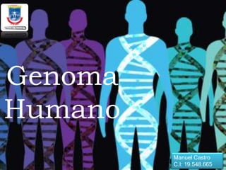 Genoma
Humano
Manuel Castro
C.I: 19.548.665
 