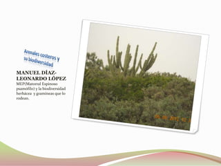 MANUEL DÍAZ-
LEONARDO LÓPEZ
MEP(Matorral Espinoso
psamófilo) y la biodiversidad
herbácea y gramíneas que lo
rodean.
 