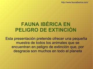 http://www.faunaiberica.com/

FAUNA IBÉRICA EN
PELIGRO DE EXTINCIÓN
Esta presentación pretende ofrecer una pequeña
muestra de todos los animales que se
encuentran en peligro de extinción que, por
desgracia son muchos en todo el planeta

 