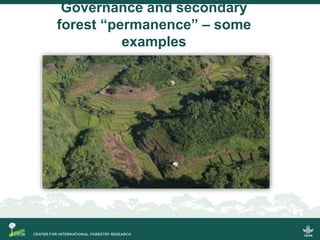 Key governance issues and the fate of secondary forests as a tool for large-scale forest restoration