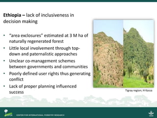 Key governance issues and the fate of secondary forests as a tool for large-scale forest restoration