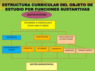 ESTRUCTURA CURRICULAR DEL OBJETO DE
 ESTUDIO POR FUNCIONES SUSTANTIVAS
                    OBJETOS DE ESTUDIO


                 Actividades a realizarse para
                    actuar sobre el objeto



  DOCENCIA                   INVESTIGACIÓN              VINCULACIÓN CON
                                                         LA COLECTIVIDAD



EMPODERAMIENTO   FORMATIVA    DE GRADO           GENERATIVA
    TEÓRICO                                                   SERVICIOS    TRABAJO LABORAL




                       GESTIÓN ADMINISTRATIVA
 
