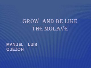 Grow and Be Like
The Molave
MANUEL
QUEZON

LUIS

 