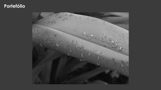Portefólio

 